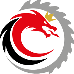 logo borstroy27